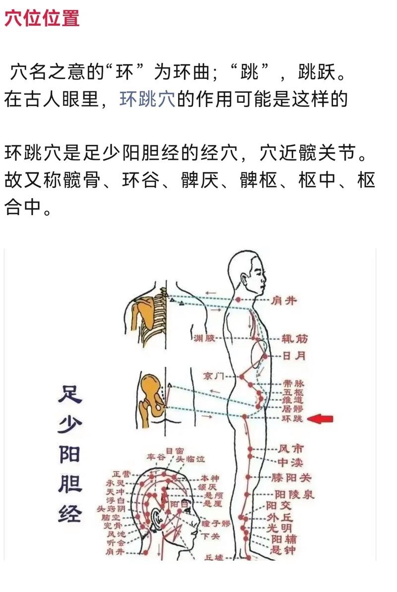 按摩环跳穴位的作用