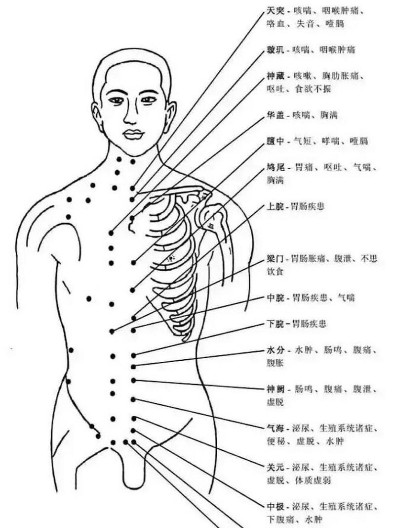 人体全是穴位按摩图