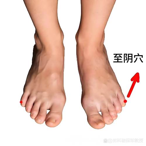 肾亏按脚上哪个穴位