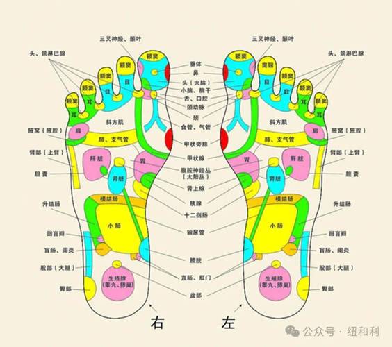 肾亏按脚上哪个穴位