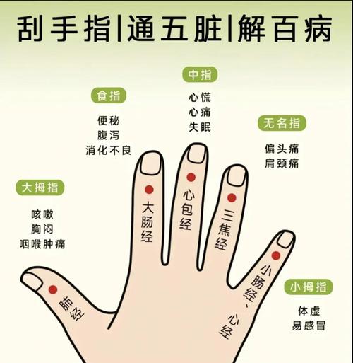 左手食指是什么穴位