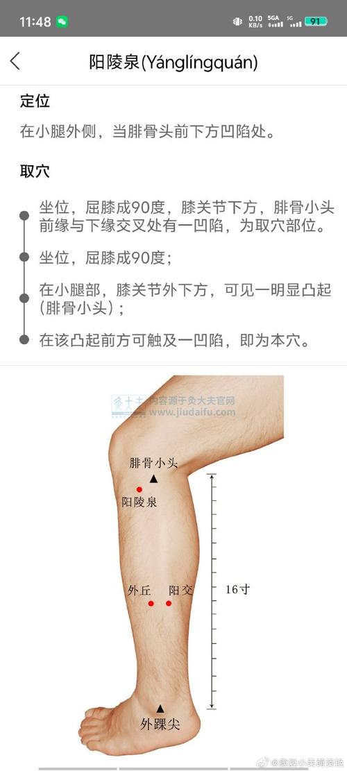 膝盖疼安神什么穴位