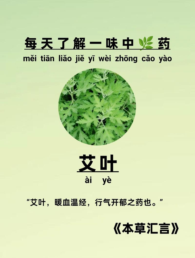 艾草对风湿有什么帮助