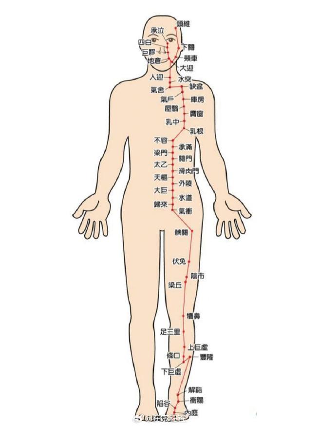 人体穴位阴阳穴在哪