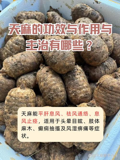 天麻可以治疗类风湿吗