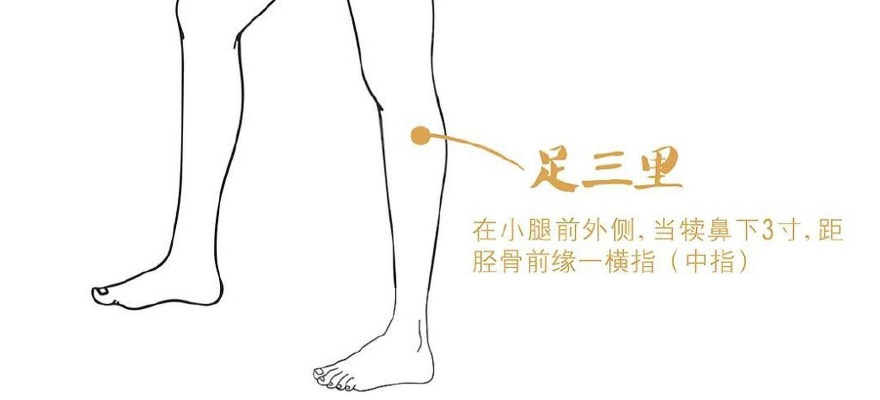 瘦小腿按摩哪些穴位
