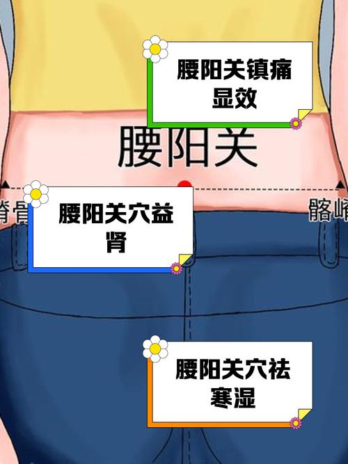 女人腰疼按哪个穴位
