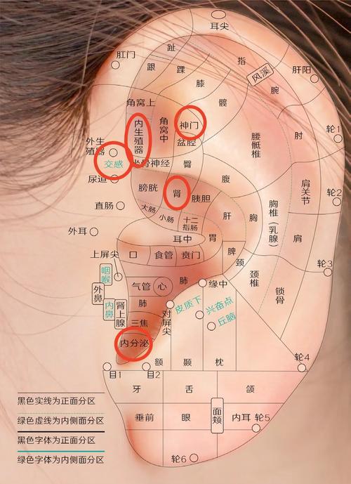 穴位按摩治疗耳石症