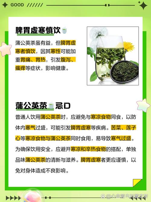 风湿老人能喝蒲公英吗