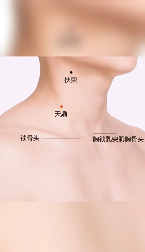 嗓子下面是什么穴位