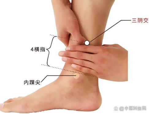 刺激阴茎延长的穴位