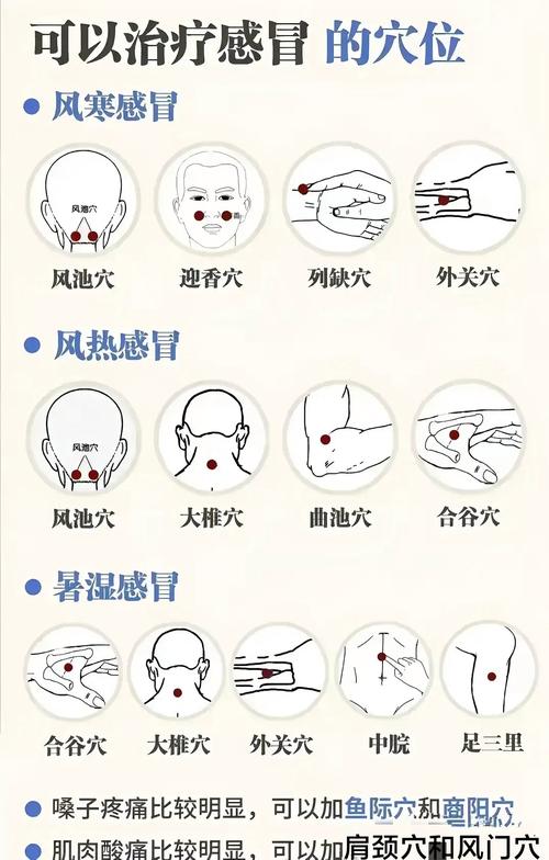 感冒中暑刮什么穴位