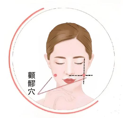 面部痉挛按摩穴位图