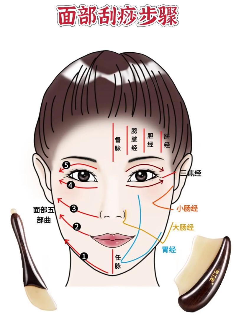 面部痉挛按摩穴位图