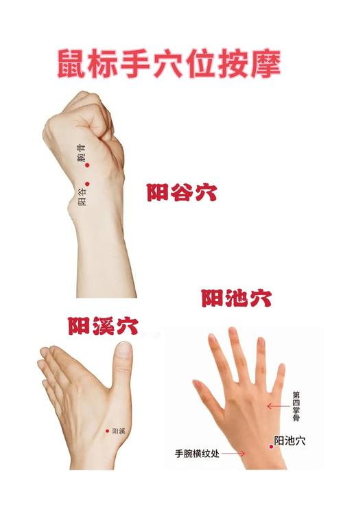 鸡皮肤按摩什么穴位