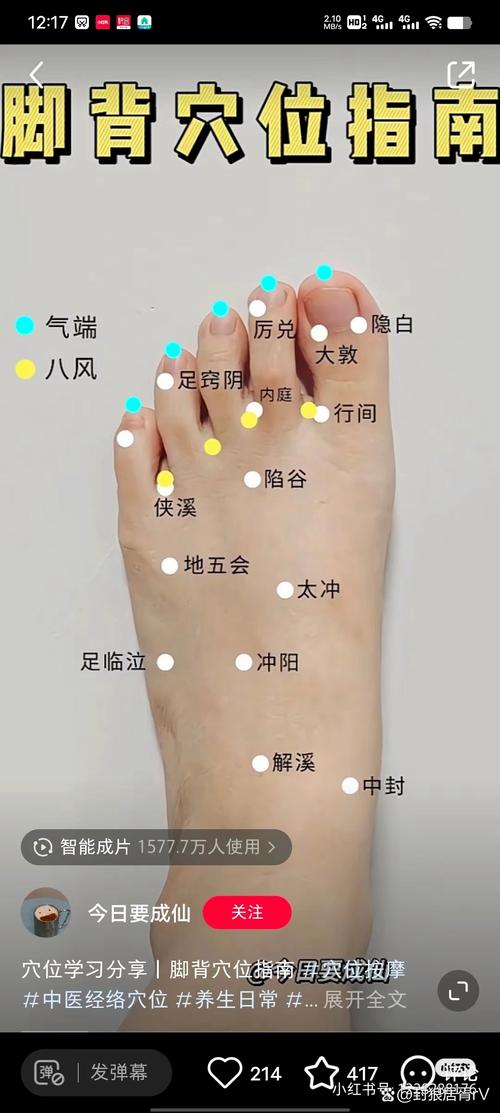 足底按摩脚背穴位图