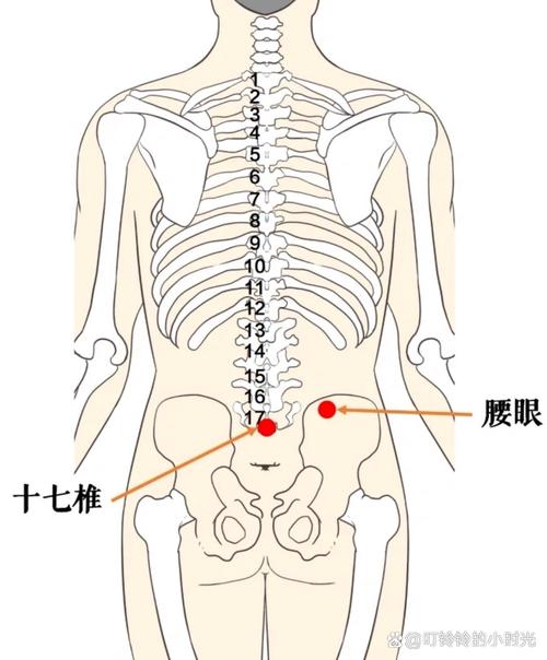 腰肌劳损调理穴位图