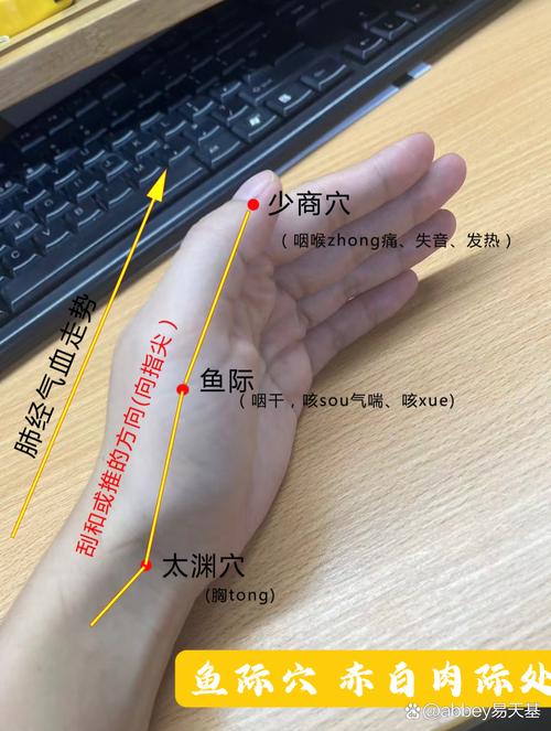 食指中指间根部穴位