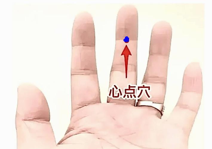 食指中指间根部穴位