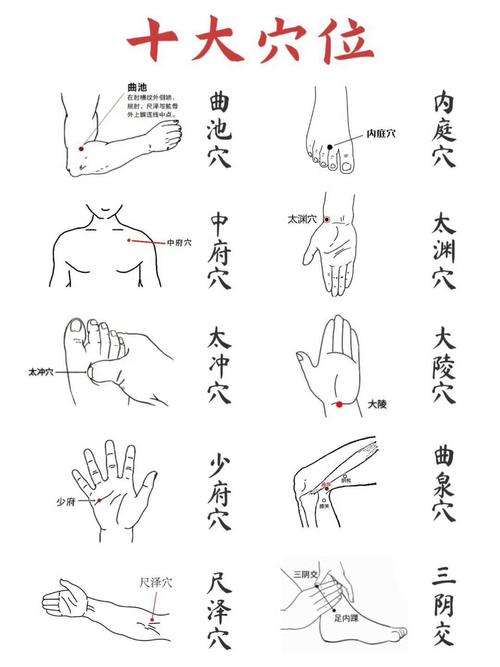 穴位的定位方法包括