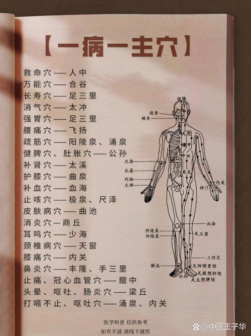 穴位的定位方法包括