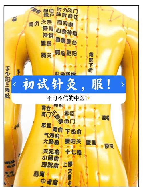 针刺穴位的肌体反应