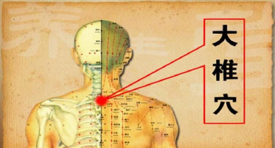 脊椎疼按摩哪个穴位