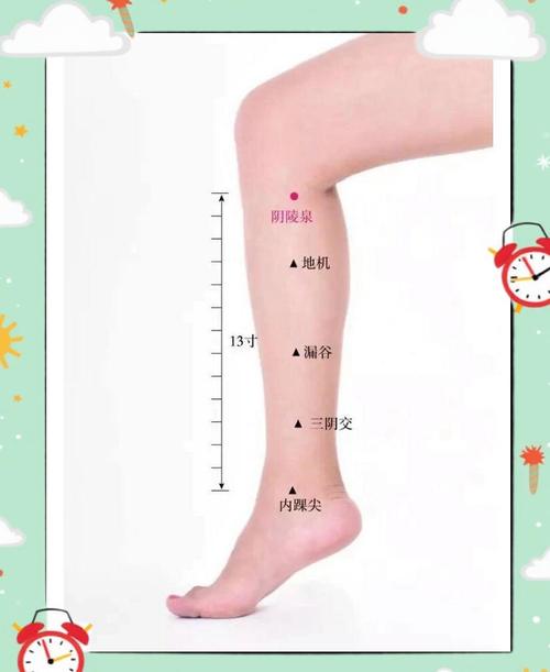 治疗皮肤疾病的穴位