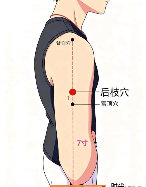 手臂疼痛的针灸穴位