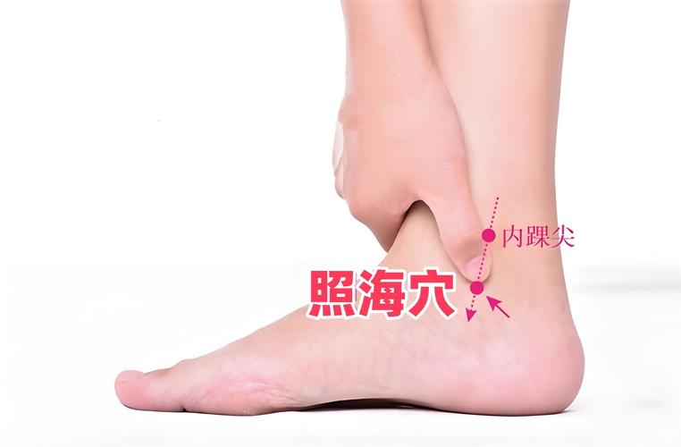 脚上治下肢麻痹穴位