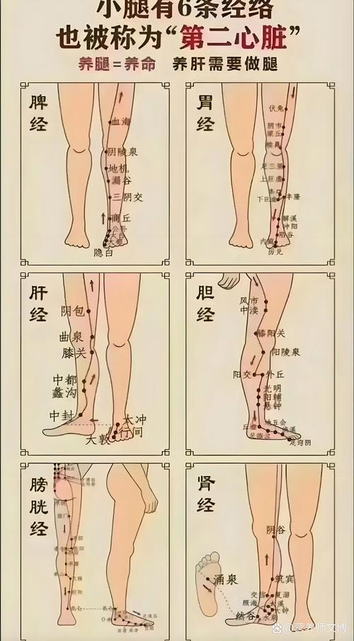 脚上治下肢麻痹穴位