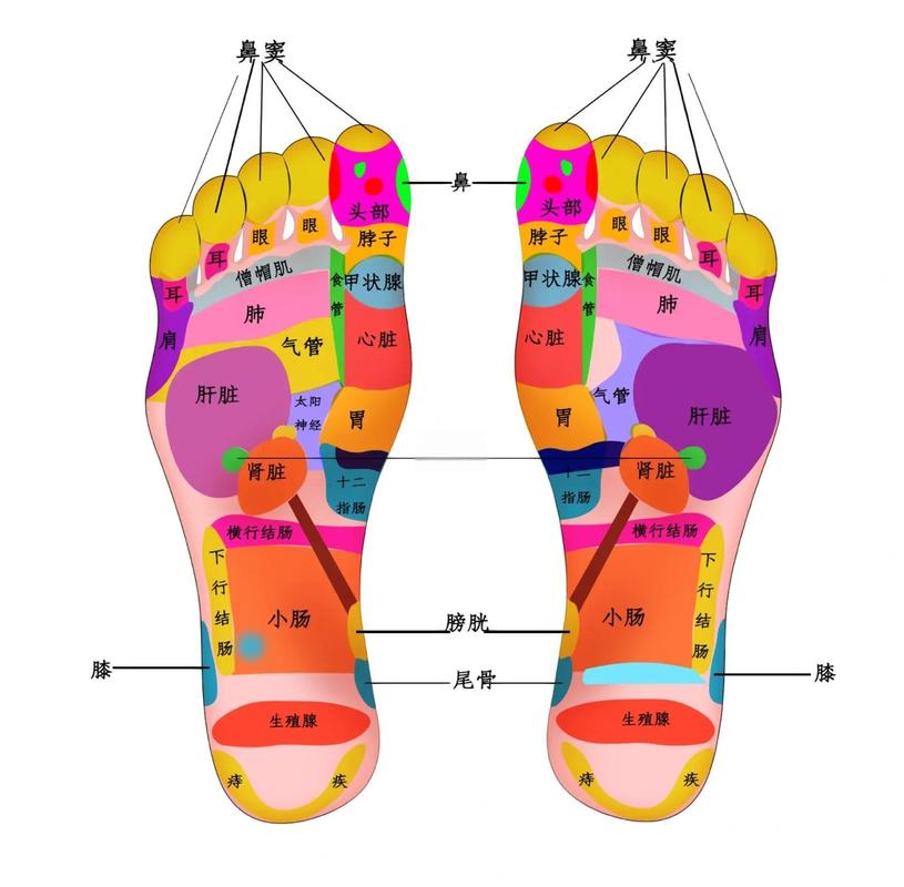 脚底穴位按摩shi