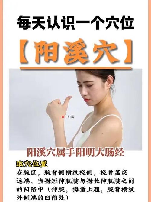 阳溪穴 穴位密码