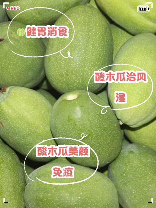 木瓜哪种可以治类风湿