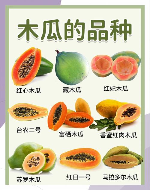 木瓜哪种可以治类风湿