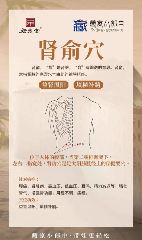 治疗肾上腺最好穴位