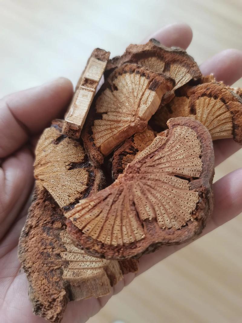 治疗脑梗的中药有哪些