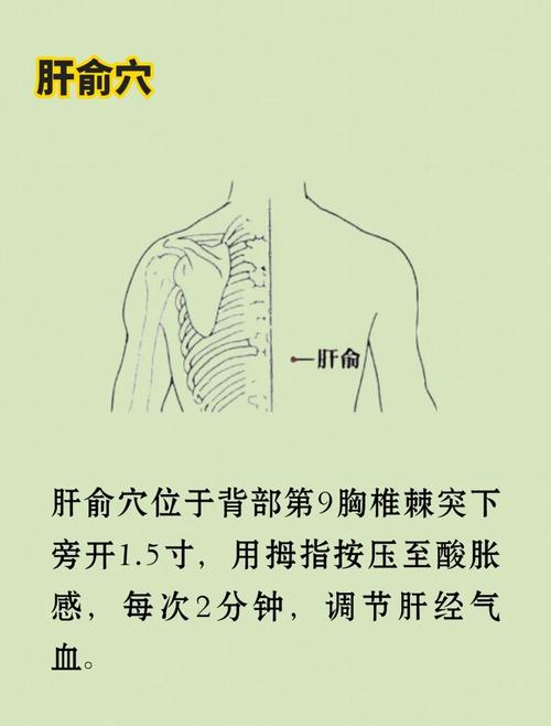 肝部胀痛 什么穴位