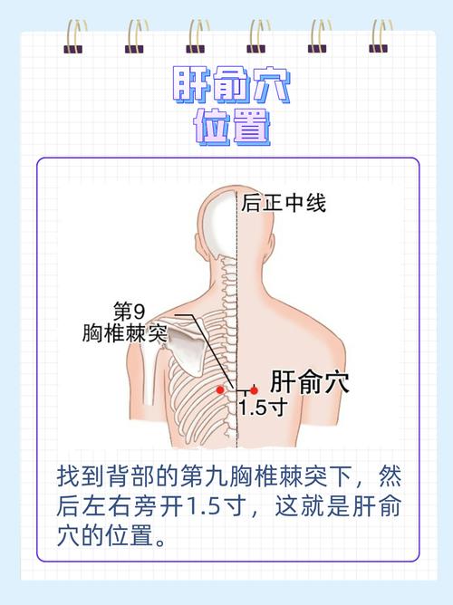 肝部胀痛 什么穴位