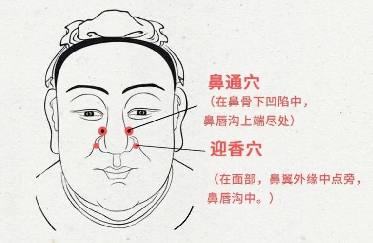 感冒 鼻炎推拿穴位