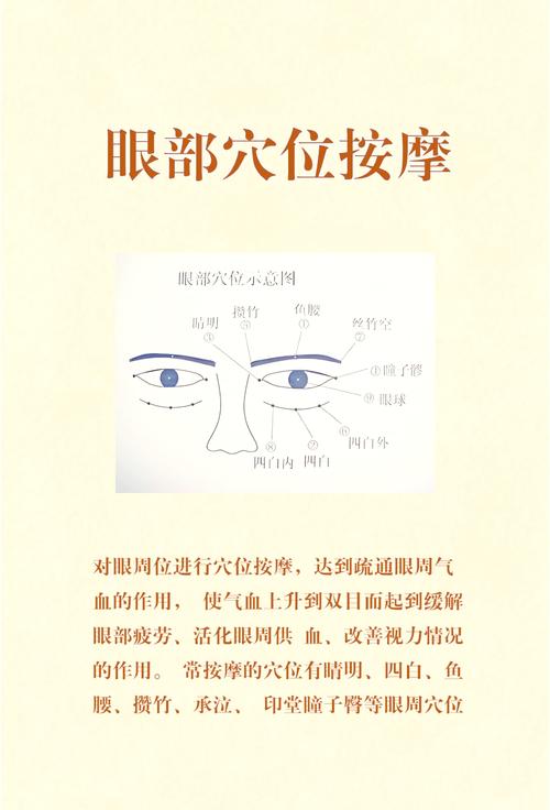 眼睛周围穴位 经络