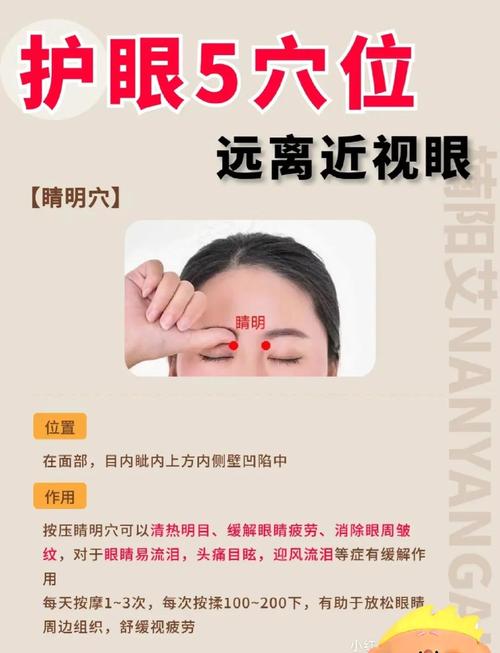 眼睛周围穴位 经络