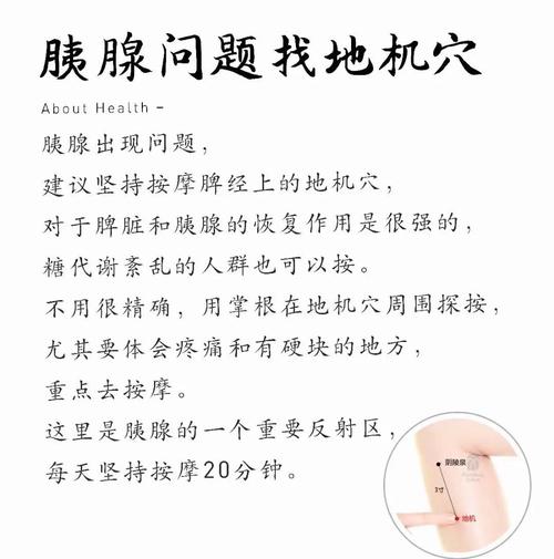 胰腺 有好处 穴位