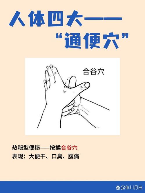 食指 穴位 促排便