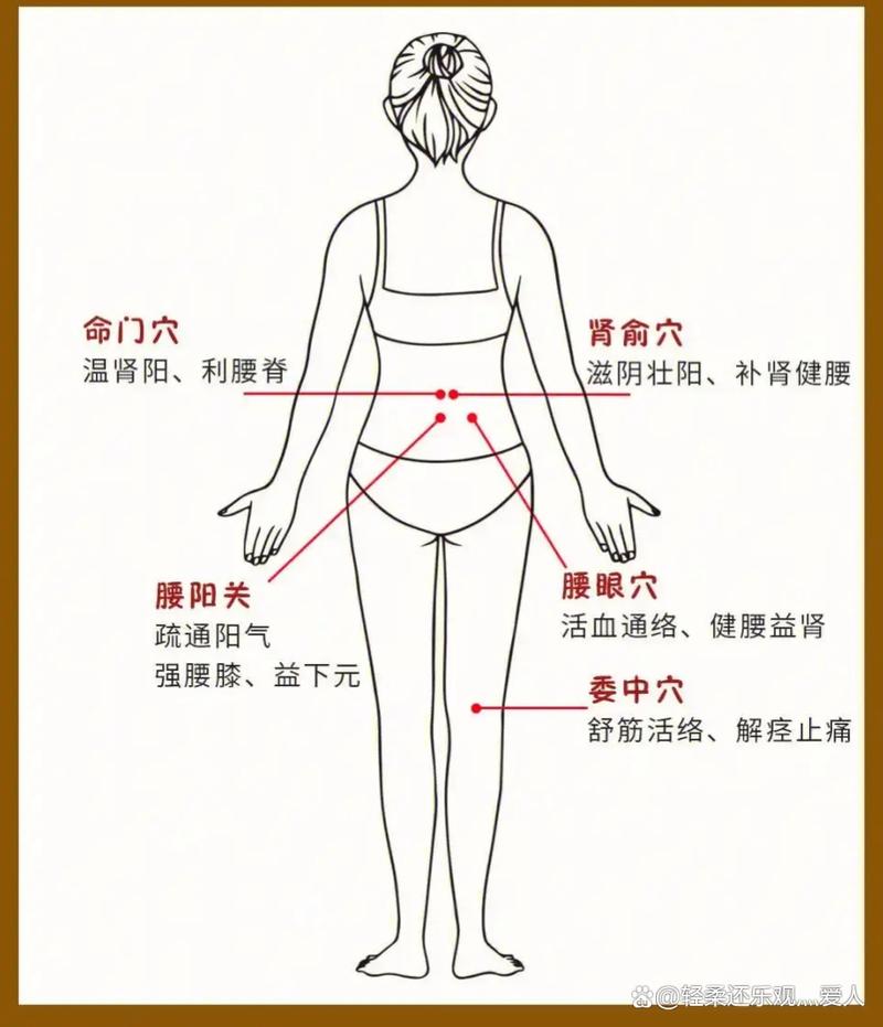 治疗腰痛 健康穴位