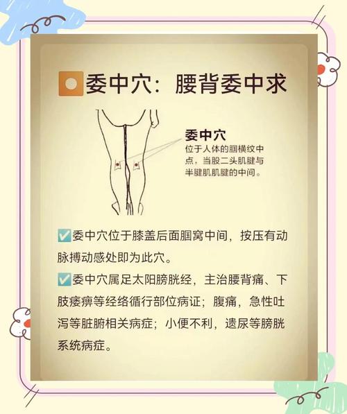 治疗腰痛 健康穴位