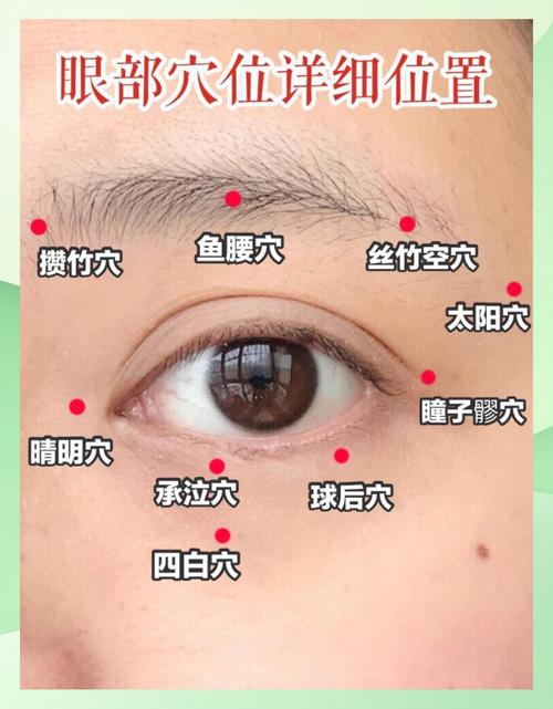 眼袋 按摩哪个穴位