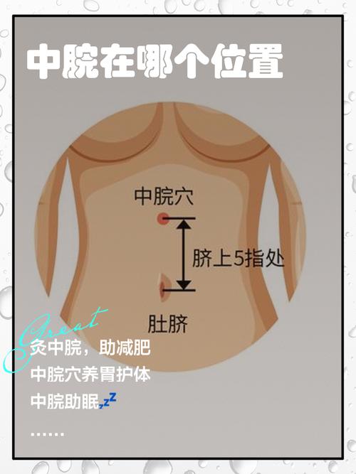 穴位 上 中 下脘