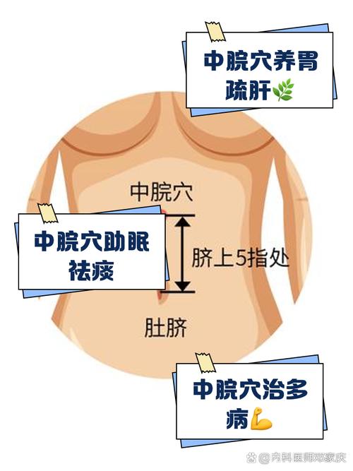 穴位 上 中 下脘
