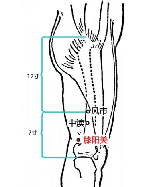 腿部风湿 按摩穴位